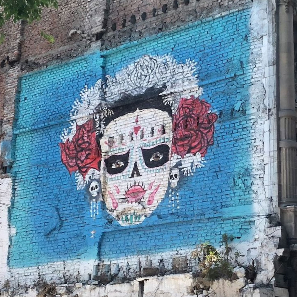 Taco Manana Wall