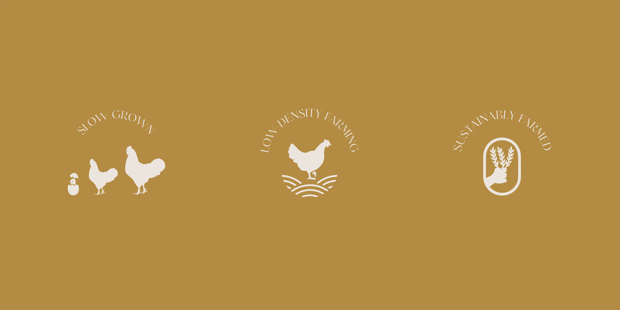icons chicken